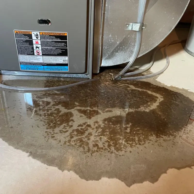 Appliance Leak Cleanup in Oakland Park, FL